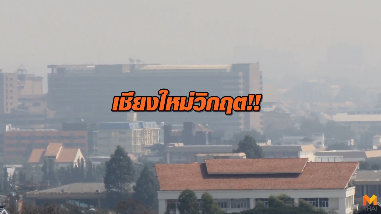 PM 2.5 ข่าวภูมิภาค ฝุ่นละออง เชียงใหม่