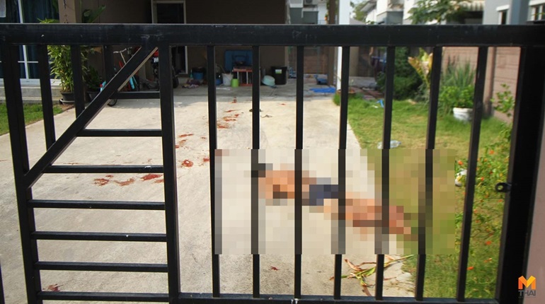 เอาเฝือกออก