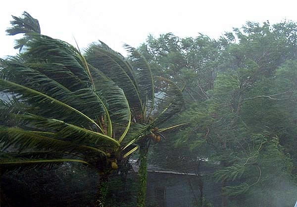 ฝนตก พายุฤดูร้อน