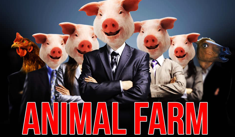 Animal Farm ข่าวสดวันนี้ ชูวิทย กมลวิศิษฎ์