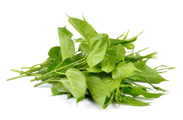 ผักเชียงดา สมุนไพรฆ่าน้ำตาล รักษาเบาหวาน ช่วยลดระดับน้ำตาลในเลือดได้!!