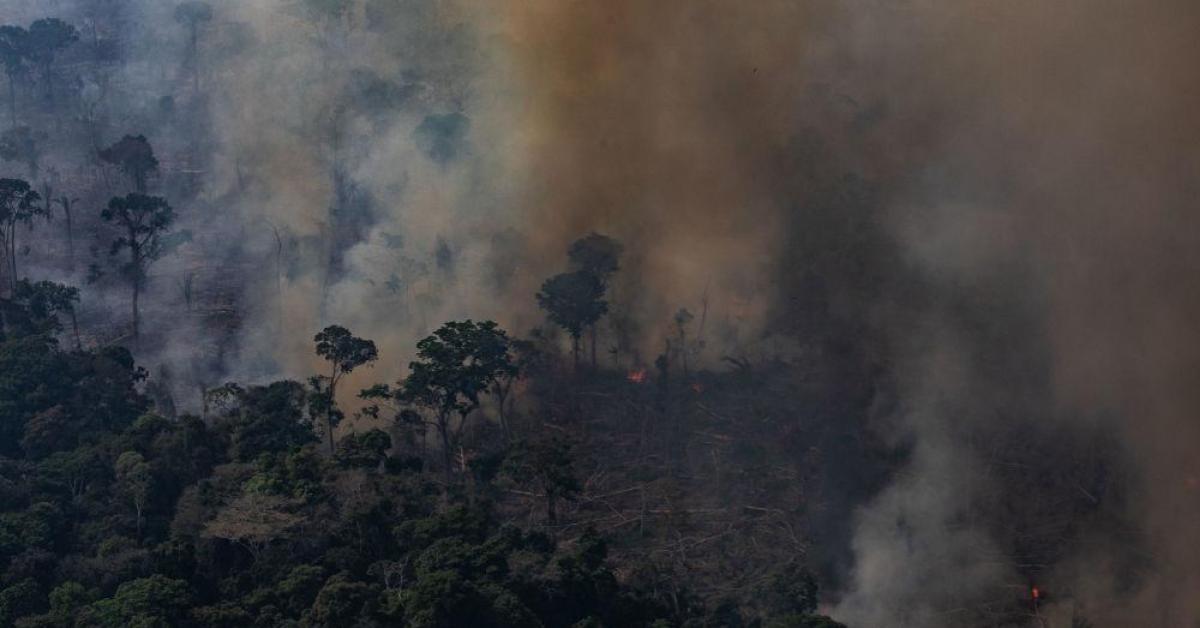 ข่าวสดวันนี้ บราซิล ไฟป่าแอมะซอน