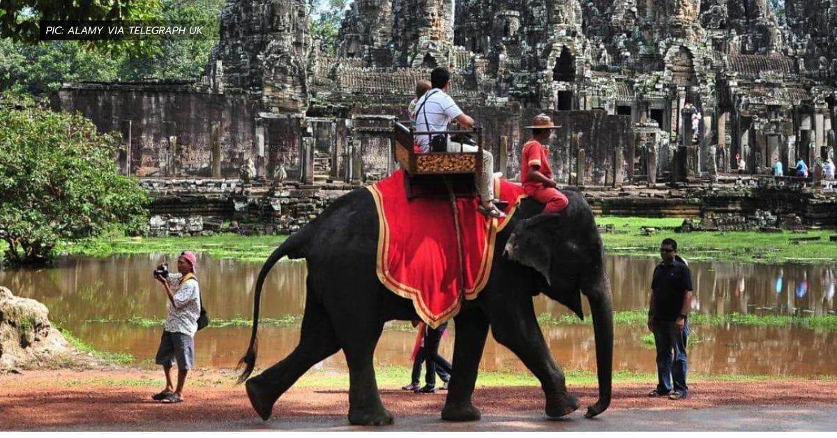 กัมพูชา ข่าวสดวันนี้ แบนการขี่ช้าง