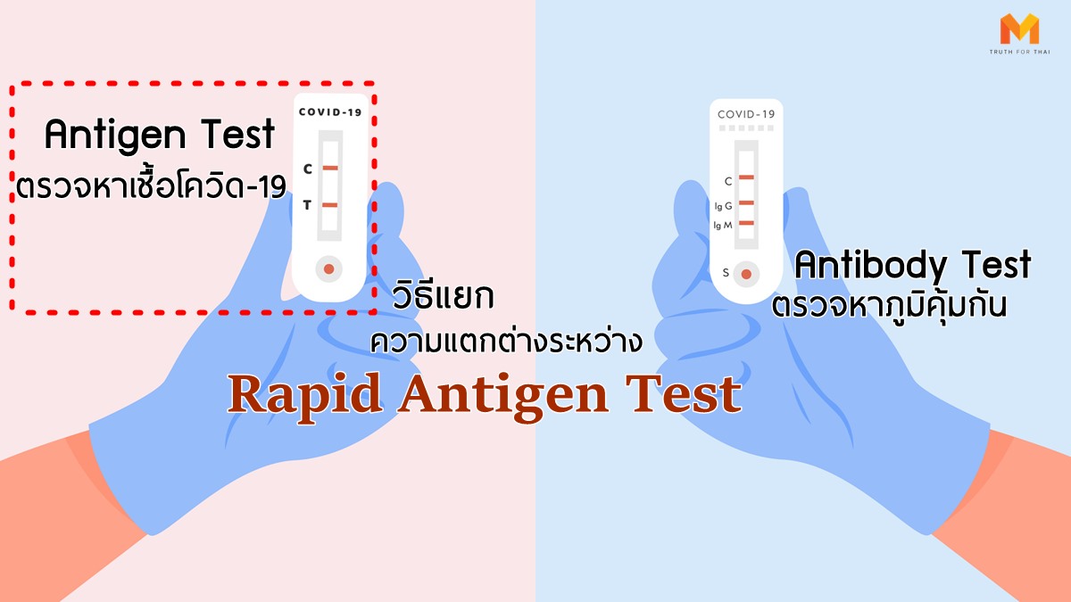 rapid antigen test ชุดตรวจโควิด-19 ที่ตรวจโควิด19 โควิด-19