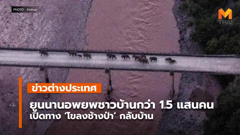 ยูนนานอพยพชาวบ้านกว่า 1.5 แสนคน เปิดทาง 'โขลงช้างป่า' กลับบ้าน - Vimarsana News