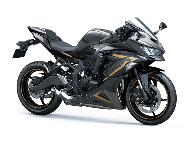 Kawasaki Ninja