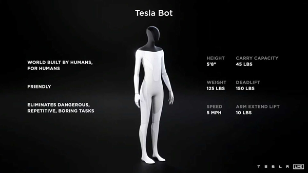 Tesla Bot