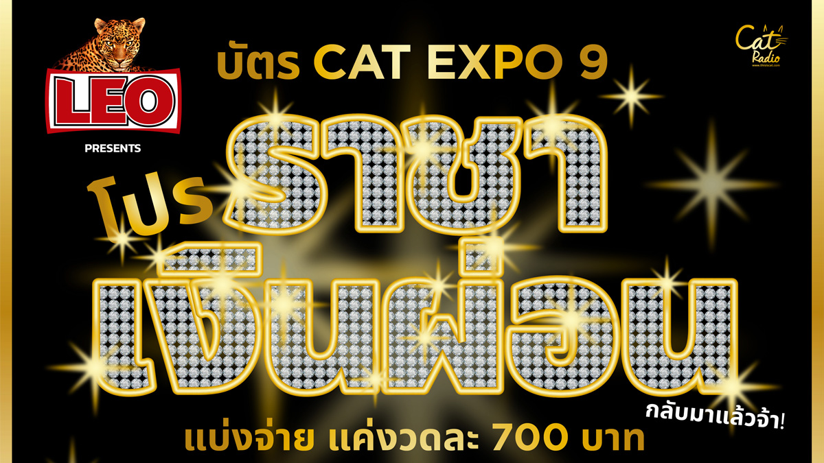 Cat Expo 9 CatExpo9