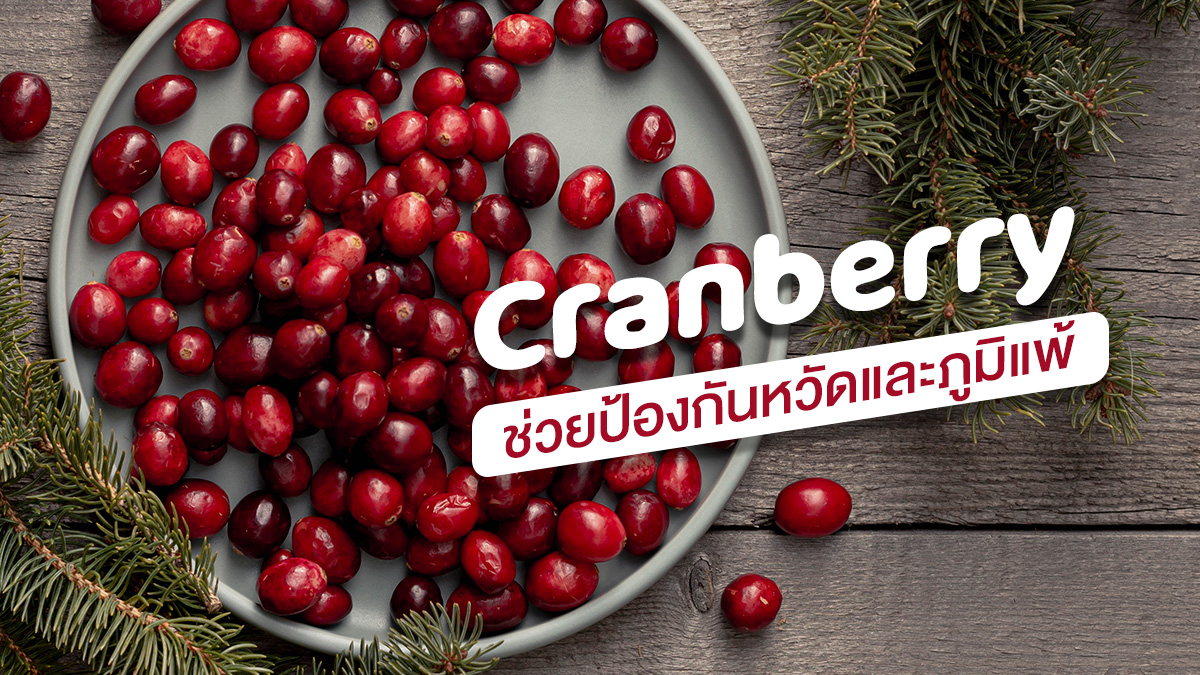 Cranberry CranberryPAC36 ป้องกันหวัดและภูมิแพ้ เสริมภูมิคุ้มกัน