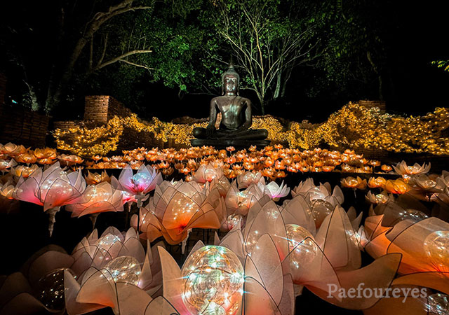 NaSatta Light Festival ณ สัทธา อุทยานไทย ณ สัทธา อุทยานไทย ค่าเข้า