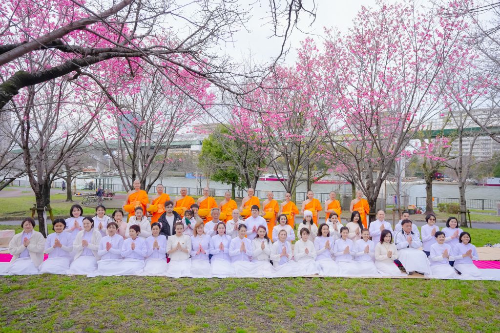 วัดพระธรรมกายโอซาก้า ทำบุญตักบาตรต้อนรับฤดูซากุระผลิบาน - ทอดผ้าป่าฉลองวัด 24 ปี