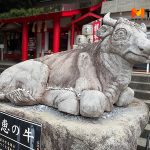 วัวแห่งปัญญา