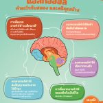 แอลกอฮอล์