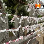 เซียมซี