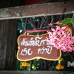 ต้นเข็มโบราณ