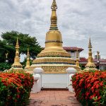 ต้นเข็ม