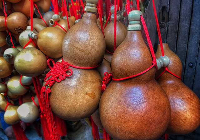 น้ำเต้า น้ำเต้าช่วยเรื่องอะไรในสายมู วิธีแขวนน้ำเต้า ฮวงจุ้ย