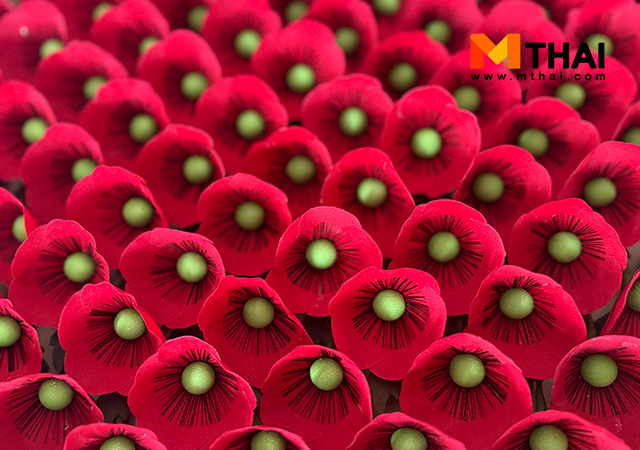 ดอกป๊อปปี้ ดอกป๊อปปี้ วันทหารผ่านศึก วันทหารผ่านศึก