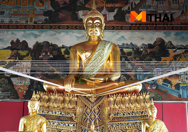 ต้นพิกุล วัดบางเคียนวิเชียรฉาย วัดโบราณ อยุธยา สิ่งศักดิ์สิทธิ์