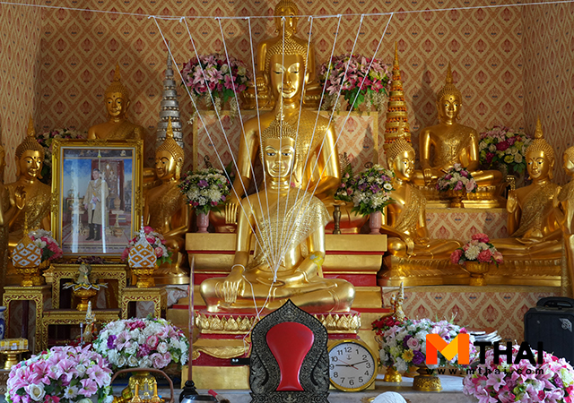 ปล่อยปลา อยุธยา วัดต้นสะตือ วัดต้นสะตือ อยุธยา วัดโบราณ อยุธยา