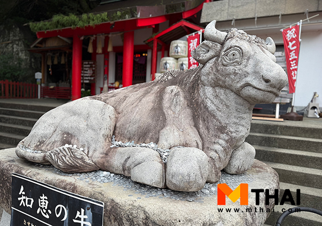 ขอพรการสอบ ขอพรรูปปั้นวัว ขอพรสติปัญญา ขอพรสุขภาพ สายมู ญี่ปุ่น