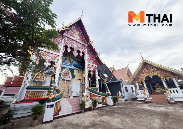 ราชพฤกษ์สีชมพู วัดมณเฑียร วัดมณเฑียร น่าน วัดโบราณ น่าน