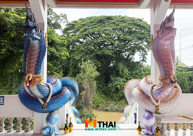จุดมูพญานาค ทางขึ้นลงพญานาค วัดมรุกขนคร พญานาค วัดมรุกขนคร หลวงปู่คำพันธ์ โฆสปัญโญ